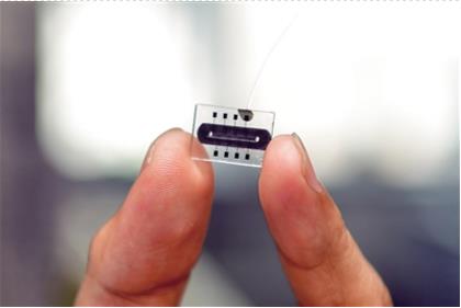 011702463960.jpg 011702463960.jpg